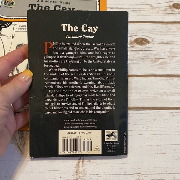 The Cay Novel and Unit Study - Picture 3 of 8